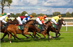 Four jockeys riding four horses in a Horse race