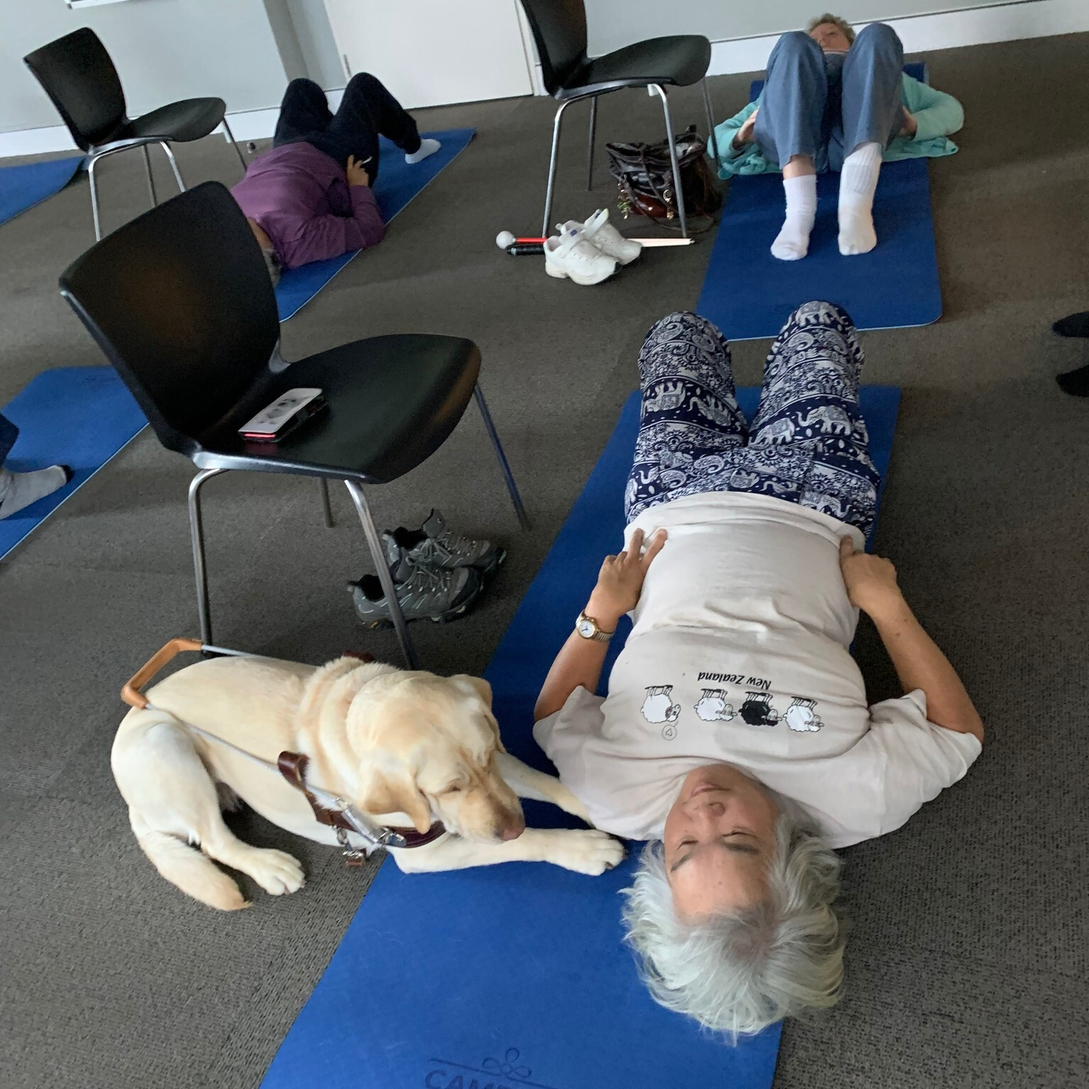 Participants of a vision impaired exercise class, holding a yoga pose on their mats with a guide dog lying next to one of the participants.