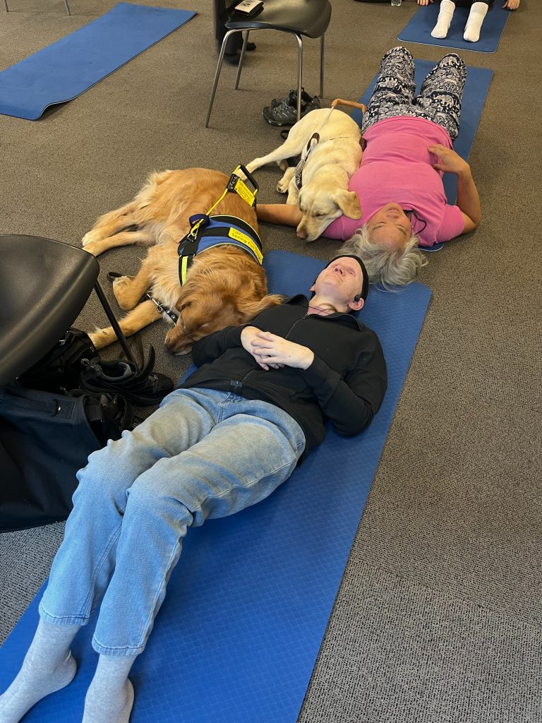 Participants of a vision impaired exercise class, holding a yoga pose on their mats with a guide dog lying next to one of the participants.